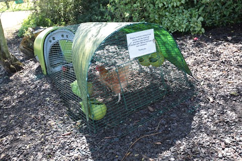 Humpty Dumpty Day Nurseries and Pre-Schools