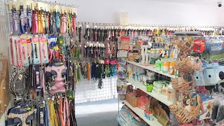 KiSi Canine Accessories Ltd