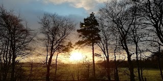 Gartmorn Dam Country Park