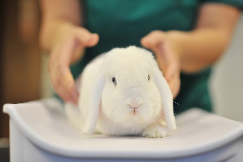 Swadlincote Veterinary Centre