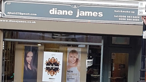 Diane James hair & make-up