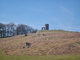 Old John Tower