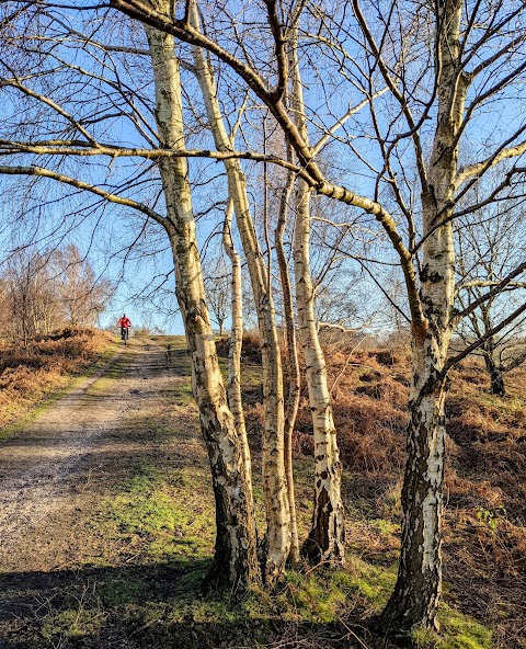 National Trust - Downs Banks