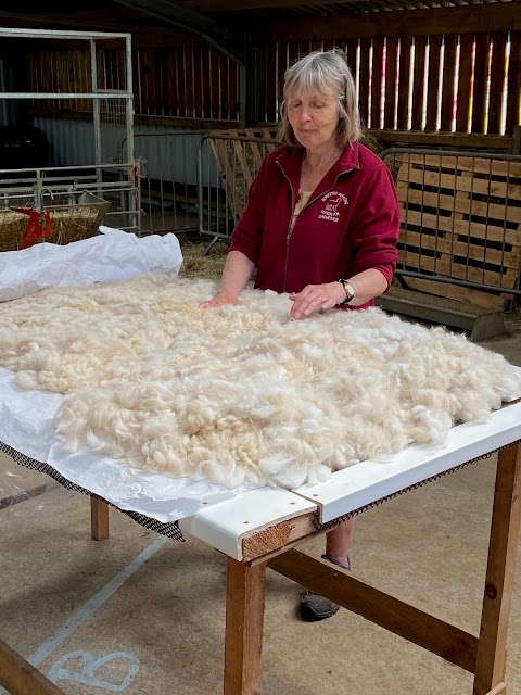 Dunreyth Alpacas (Chichester)