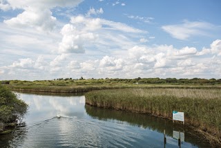 Titchfield Haven National Nature Reserve