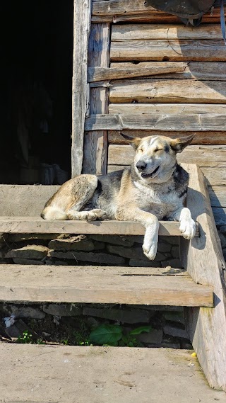 Колиба Смотрич