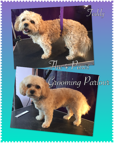 The 4 Paws Grooming & Boarding Services