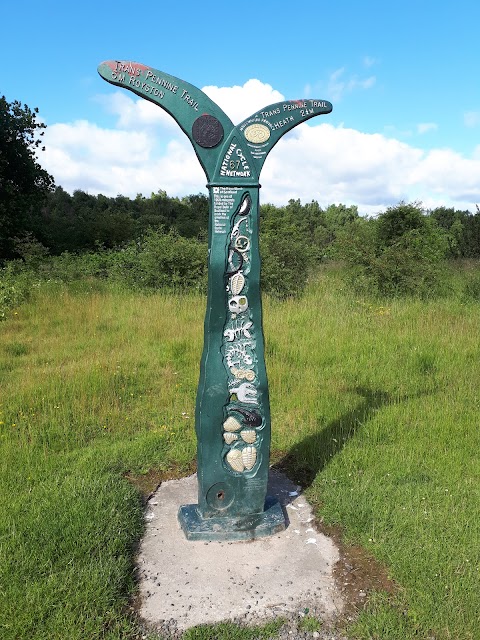 Walton Colliery Nature Park