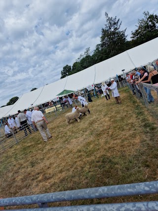 New Forest and Hampshire County Show