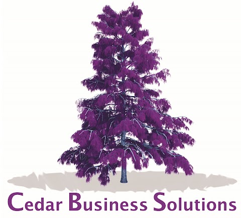 Cedar Business Solutions Ltd