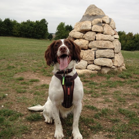 Poulter Country Park