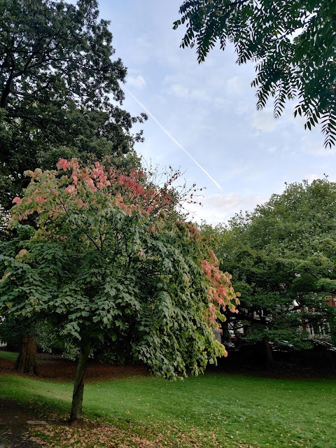 Roath Pleasure Gardens