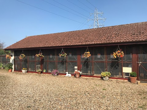 Morton Cottage Cattery