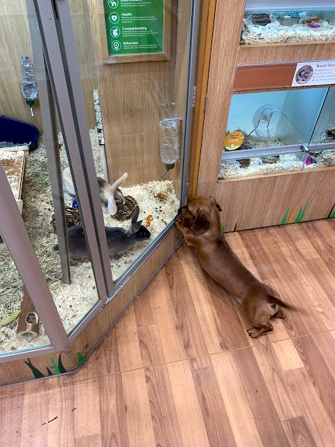 Pets at Home Maidenhead