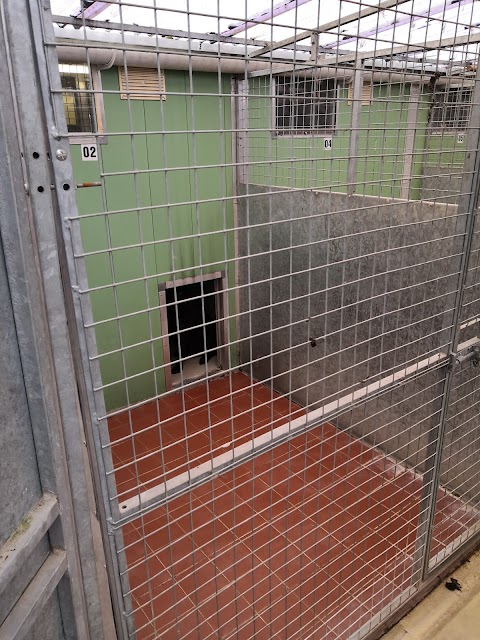 Hylton Hound Hotel Kennels