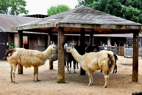 Zoological Society of London