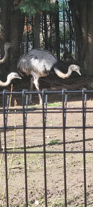 Wildlife Conservation Center Car Park