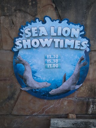 Sea Lion Theatre