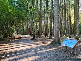 Stover Country Park