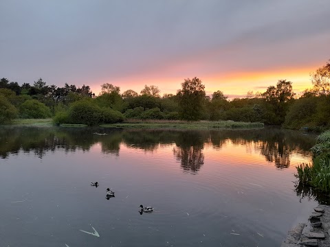 Kiltonga Nature Reserve