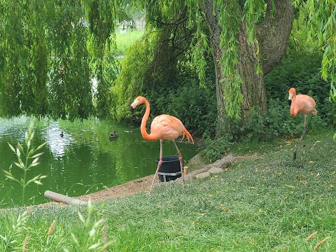 Whipsnade Zoo