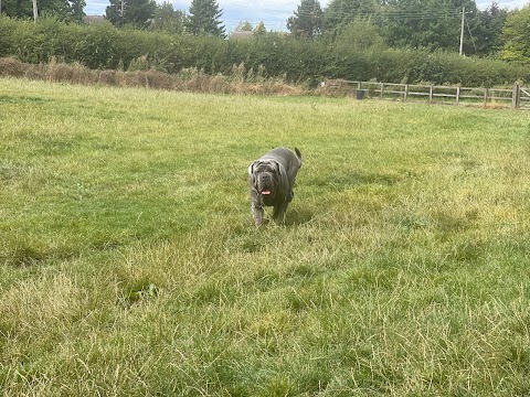 Horsepool Farm Dog Park