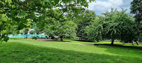 Dog's Park