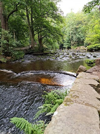 Rivelin Valley Park