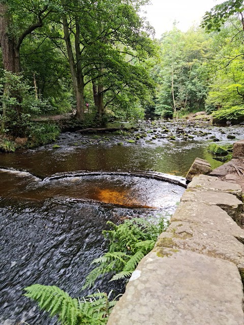 Rivelin Valley Park