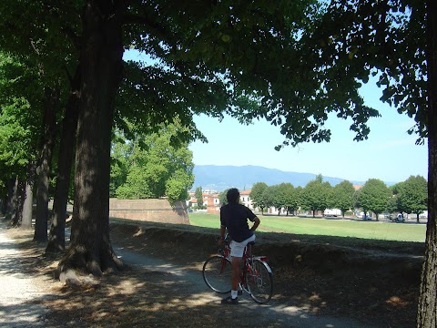 TUSCAN TENNIS HOLIDAYS