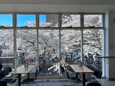 Community Centre Cafe