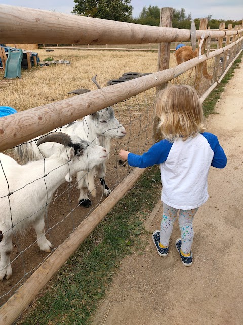 Burntwood Alpaca & Animal Experience