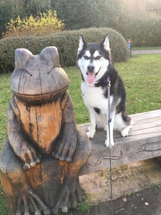 P's Paws. Milton Keynes