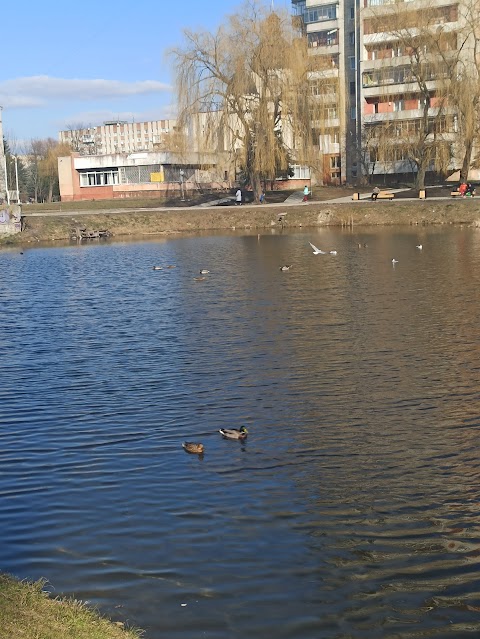 Овочеві ятки