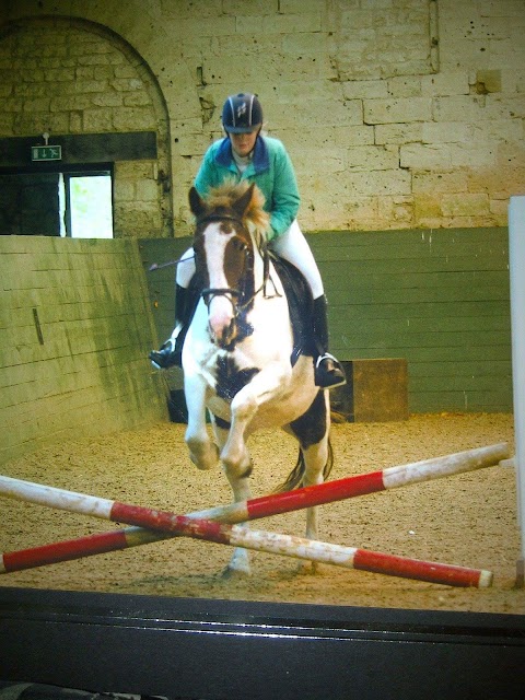 Ledston Equine Clinic