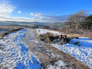 Wildfell Estate Agents Keighley