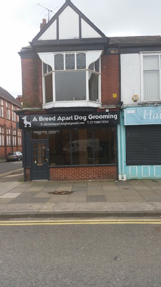 A Breed Apart Dog Grooming