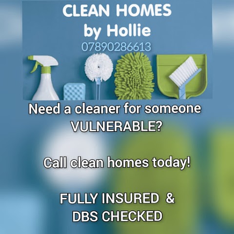 CLEAN HOMES