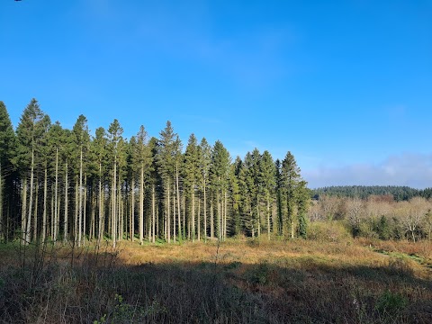 Cairn Wood