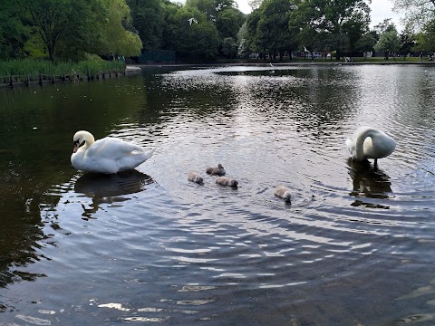 Duck Island