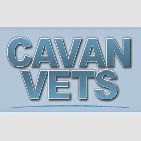 Cavan Vets Oxley