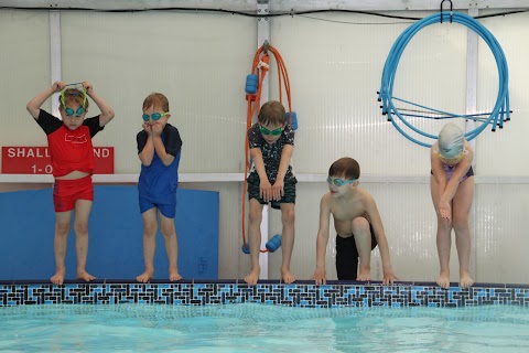 Mojo's Swim School