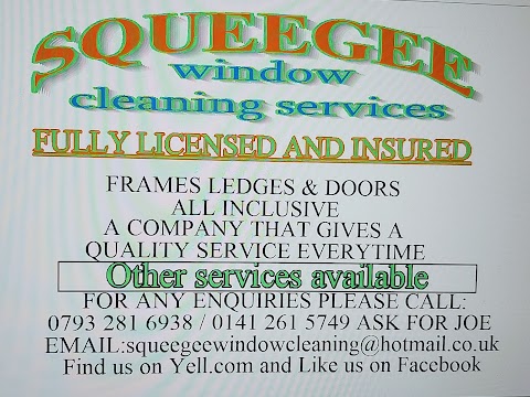 Squeegee Window Cleaning Services