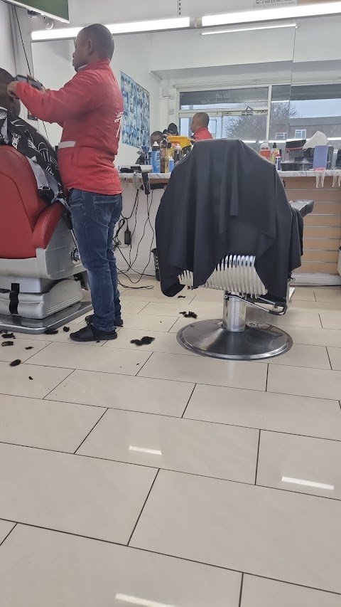 Professional Barbers