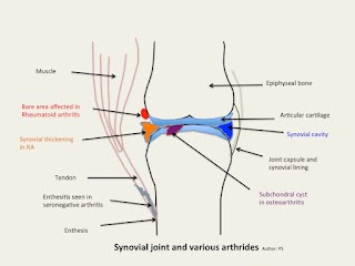 London Sports and Rheumatology Imaging