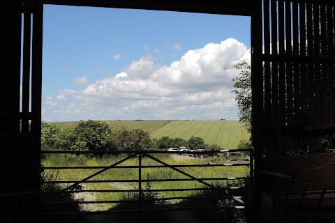 Chalky Downs Campsite