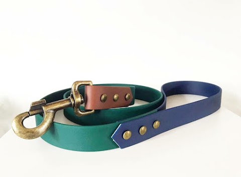 Maisies collars and leads