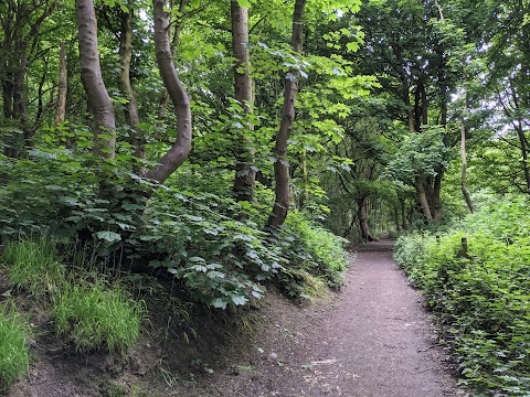 Apedale Community Country Park