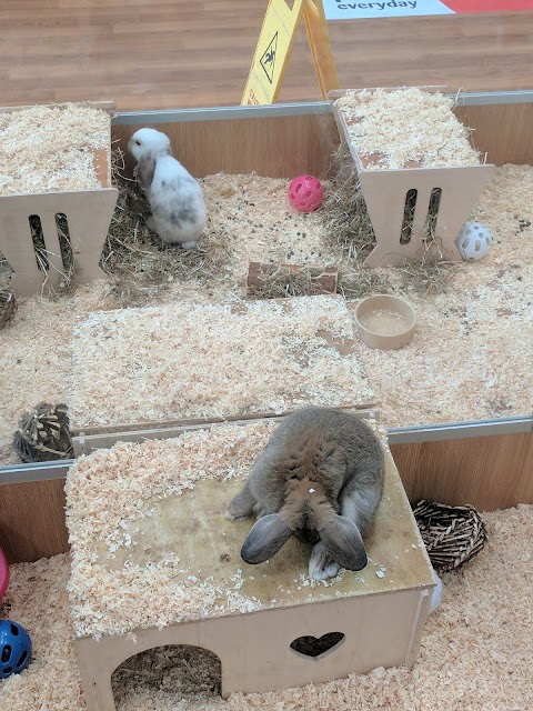 Pets at Home Norwich