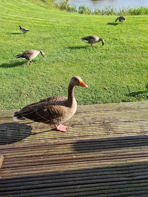 Hornsea Lakeside Lodges